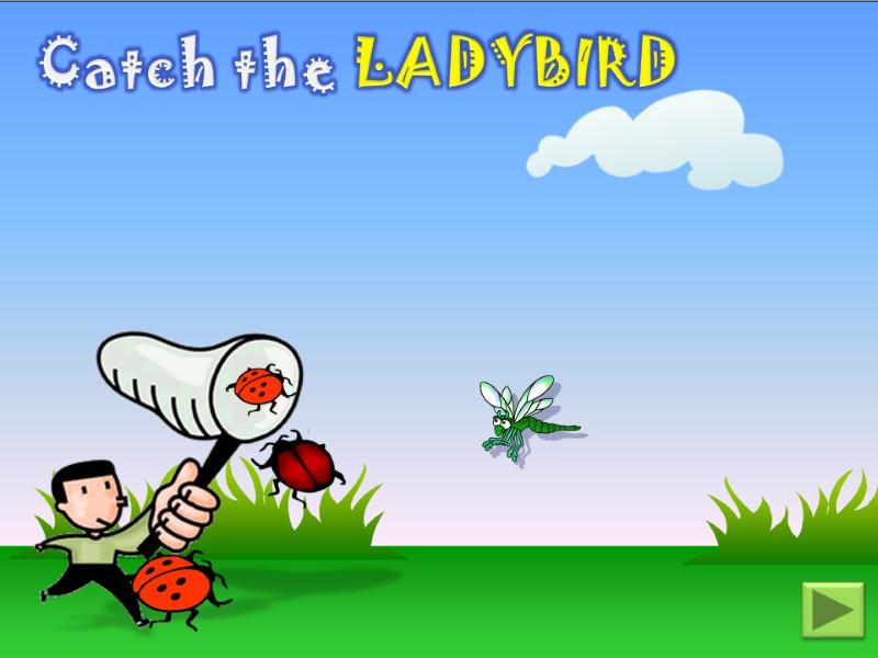 Catch the LADYBIRD